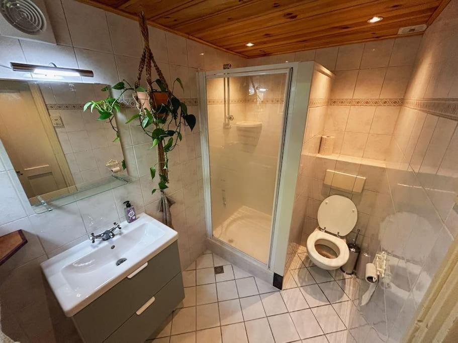 Vila Onder De Kastanje! Koedijk Exteriér fotografie
